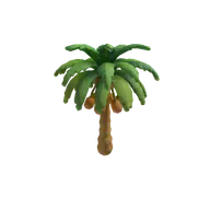 Palm Date