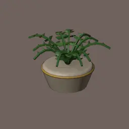 Fern Clump