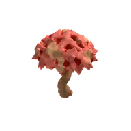 Tree Maple Red