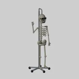 Skeleton Model