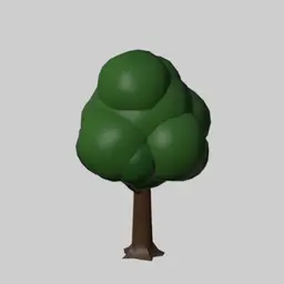Tree Oak