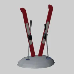Skis Pair