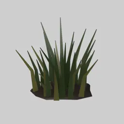 Ground Grass Tuft